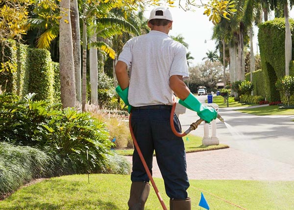 About Browning MO Pest Control